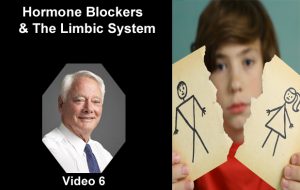 Hormone Blockers Limbic System - Video