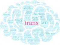 Trans word cloud on a white background.
